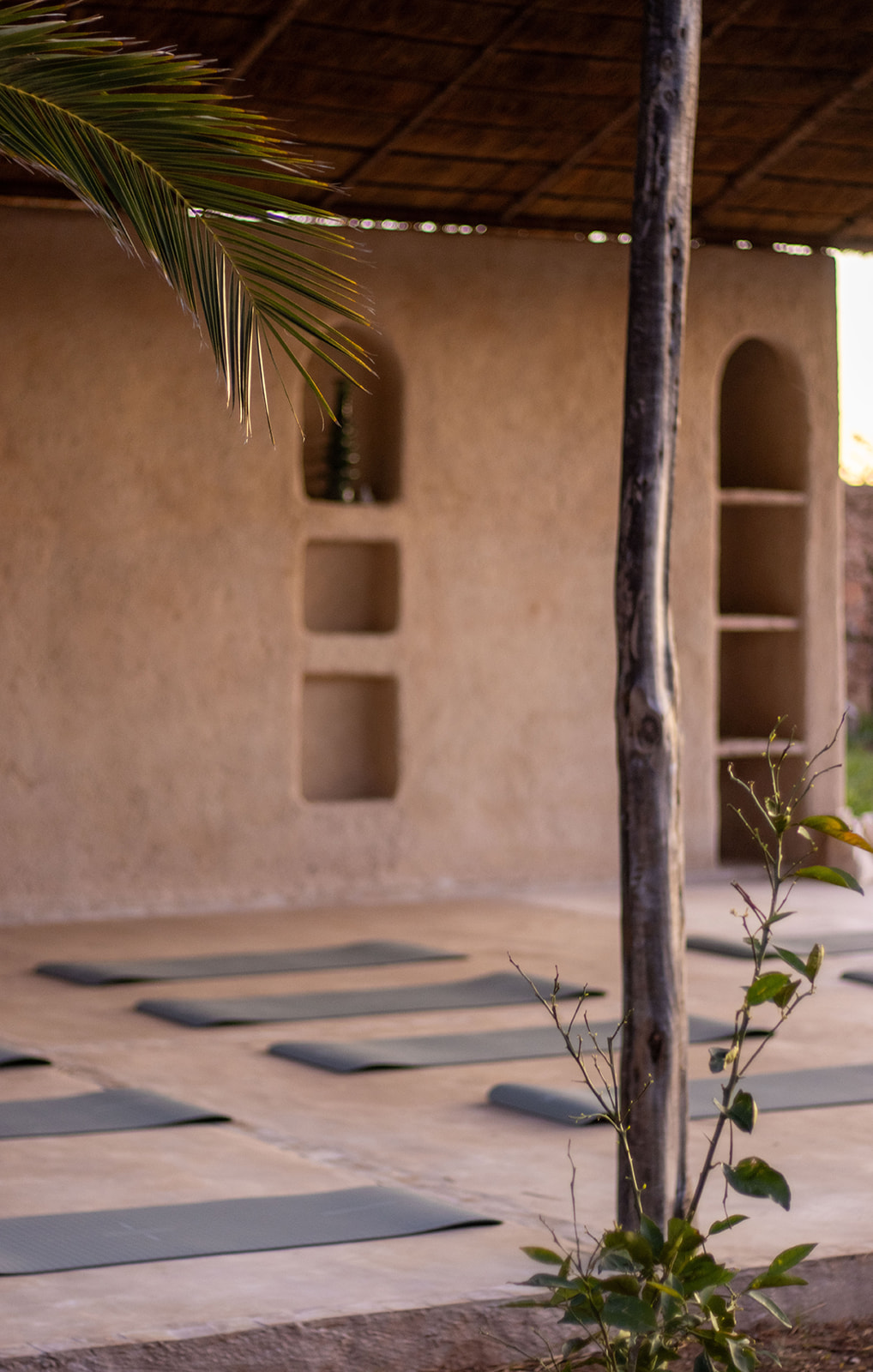 PHOTO pavillon de yoga